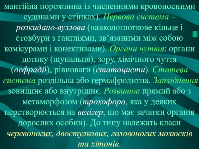 мантійна порожнина із численними кровоносними судинами у стінках). Нервова система –