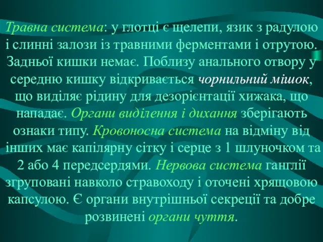 Травна система: у глотці є щелепи, язик з радулою і слинні