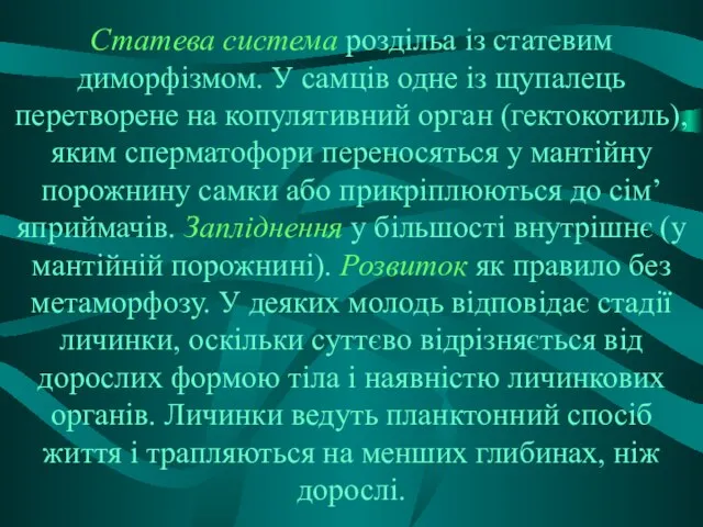 Статева система роздільа із статевим диморфізмом. У самців одне із щупалець