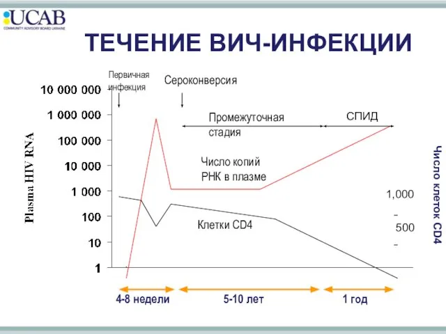 ТЕЧЕНИЕ ВИЧ-ИНФЕКЦИИ Число копий РНК в плазме Клетки CD4 4-8 недели