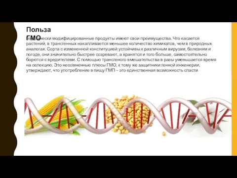 Польза ГМО Генетически модифицированные продукты имеют свои преимущества. Что касается растений,