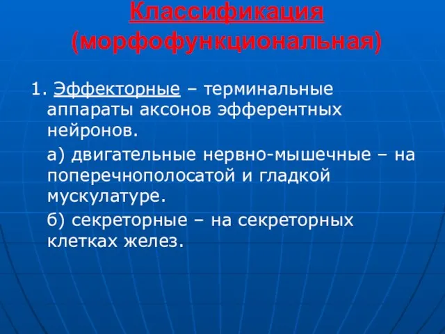 Классификация (морфофункциональная) 1. Эффекторные – терминальные аппараты аксонов эфферентных нейронов. а)