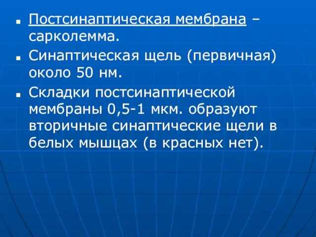 Постсинаптическая мембрана – сарколемма. Синаптическая щель (первичная) около 50 нм. Складки