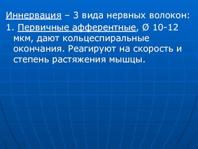 Иннервация – 3 вида нервных волокон: 1. Первичные афферентные, Ø 10-12