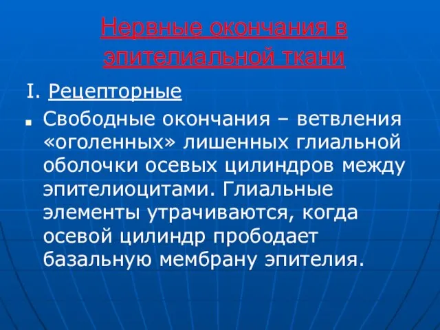 Нервные окончания в эпителиальной ткани I. Рецепторные Свободные окончания – ветвления