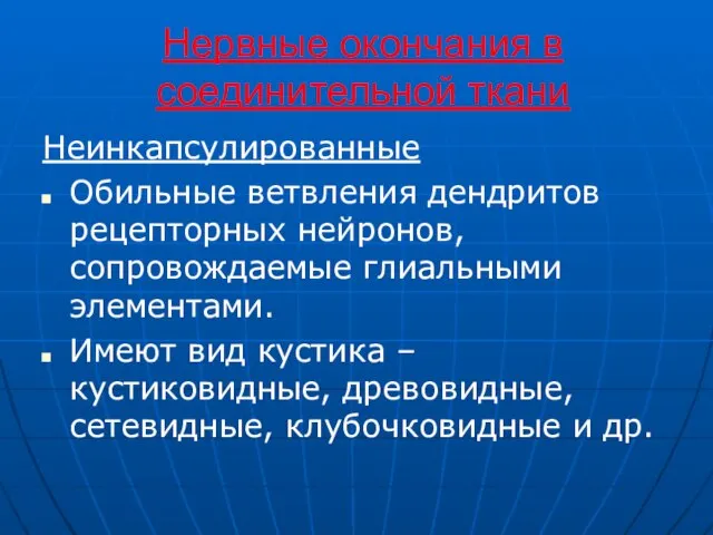 Нервные окончания в соединительной ткани Неинкапсулированные Обильные ветвления дендритов рецепторных нейронов,