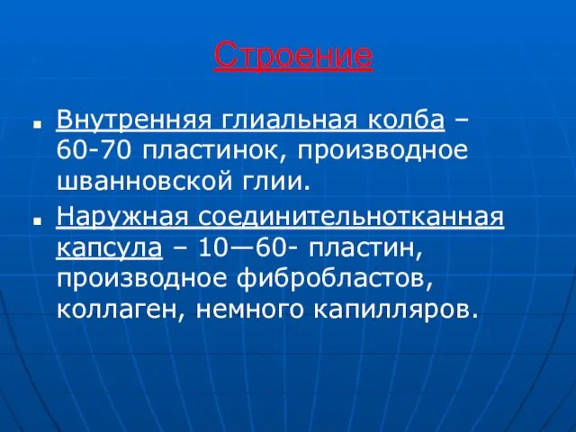 Строение Внутренняя глиальная колба – 60-70 пластинок, производное шванновской глии. Наружная