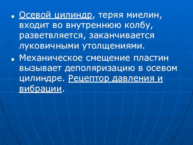 Осевой цилиндр, теряя миелин, входит во внутреннюю колбу, разветвляется, заканчивается луковичными