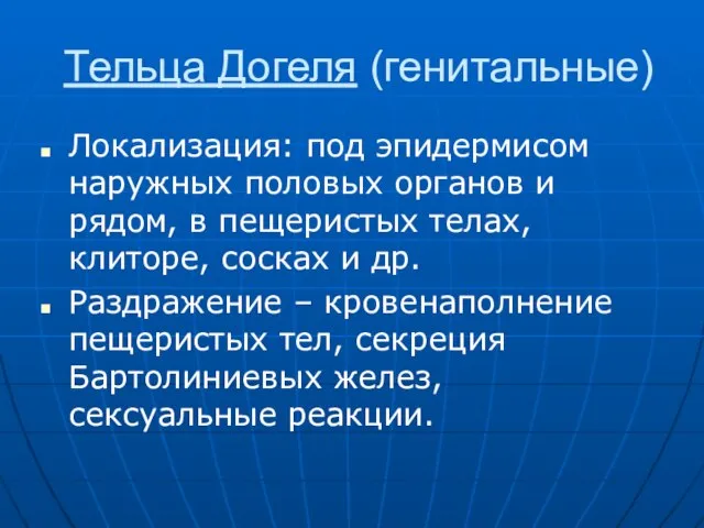 Тельца Догеля (генитальные) Локализация: под эпидермисом наружных половых органов и рядом,