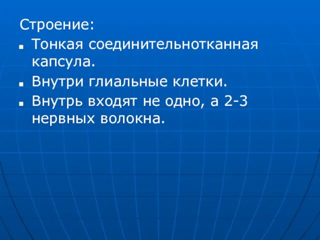 Строение: Тонкая соединительнотканная капсула. Внутри глиальные клетки. Внутрь входят не одно, а 2-3 нервных волокна.