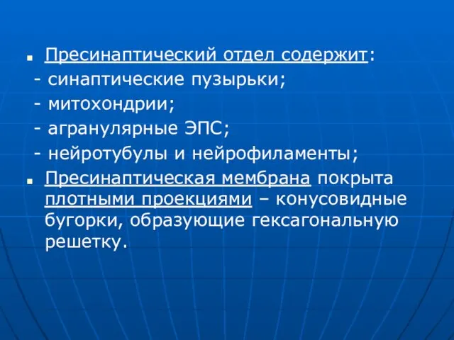 Пресинаптический отдел содержит: - синаптические пузырьки; - митохондрии; - агранулярные ЭПС;