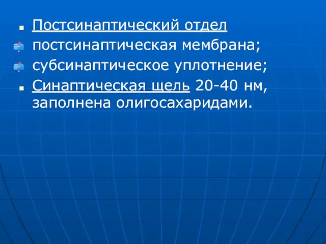 Постсинаптический отдел постсинаптическая мембрана; субсинаптическое уплотнение; Синаптическая щель 20-40 нм, заполнена олигосахаридами.