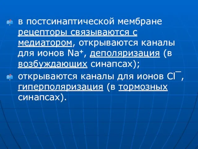 в постсинаптической мембране рецепторы связываются с медиатором, открываются каналы для ионов