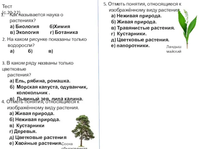 Тест (с.20-22) Как называется наука о растениях? а) Биология б)Химия в)