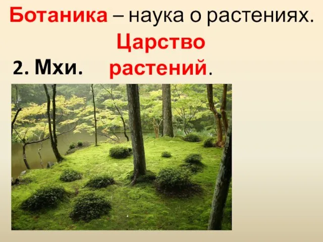 Ботаника – наука о растениях. Царство растений. 2. Мхи.