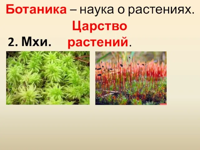 Ботаника – наука о растениях. Царство растений. 2. Мхи.
