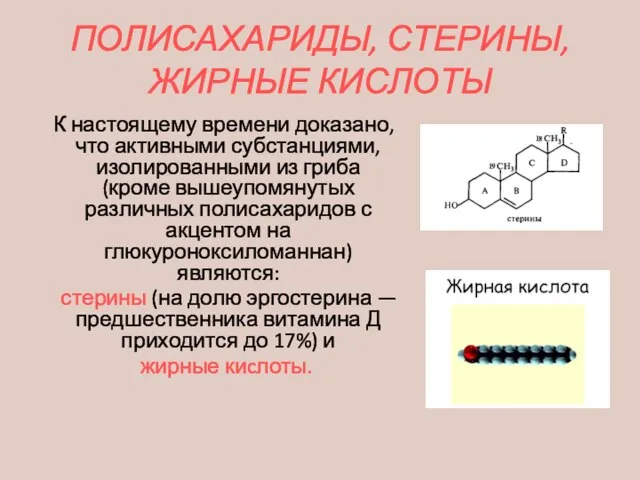 ПОЛИСАХАРИДЫ, СТЕРИНЫ, ЖИРНЫЕ КИСЛОТЫ К настоящему времени доказано, что активными субстанциями,