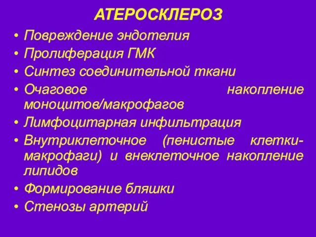 АТЕРОСКЛЕРОЗ Повреждение эндотелия Пролиферация ГМК Синтез соединительной ткани Очаговое накопление моноцитов/макрофагов