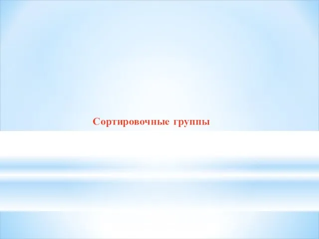 Сортировочные группы