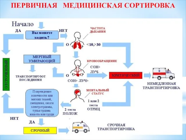 ПЕРВИЧНАЯ МЕДИЦИНСКАЯ СОРТИРОВКА