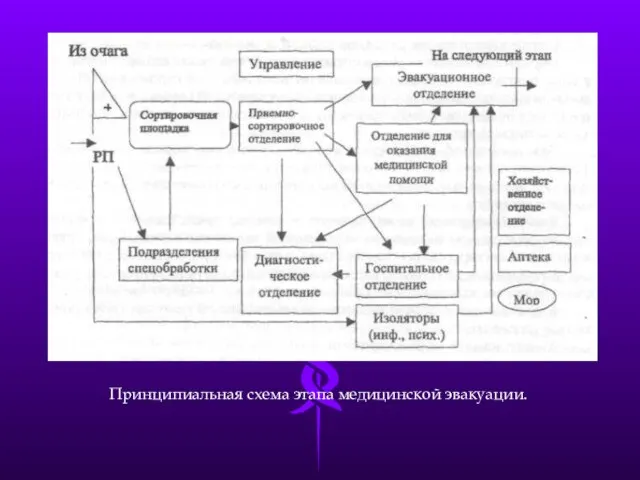 Принципиальная схема этапа медицинской эвакуации.