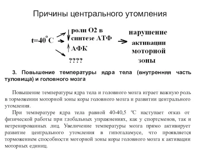 Причины центрального утомления 3. Повышение температуры ядра тела (внутренняя часть туловища)