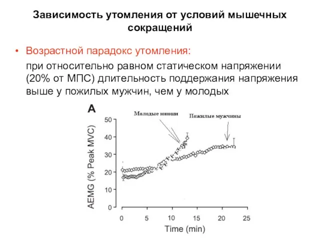 Зависимость утомления от условий мышечных сокращений Возрастной парадокс утомления: при относительно