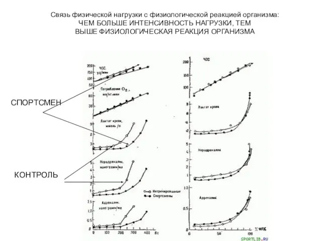 Связь физической нагрузки с физиологической реакцией организма: ЧЕМ БОЛЬШЕ ИНТЕНСИВНОСТЬ НАГРУЗКИ,