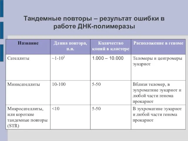 Тандемные повторы – результат ошибки в работе ДНК-полимеразы