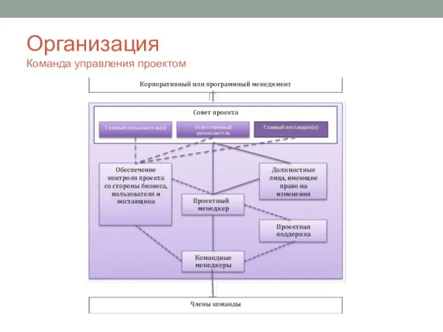 Организация Команда управления проектом