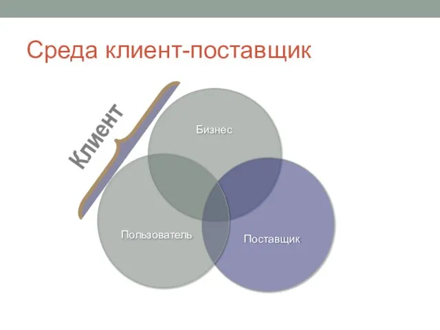 Среда клиент-поставщик Бизнес Поставщик Пользователь Клиент