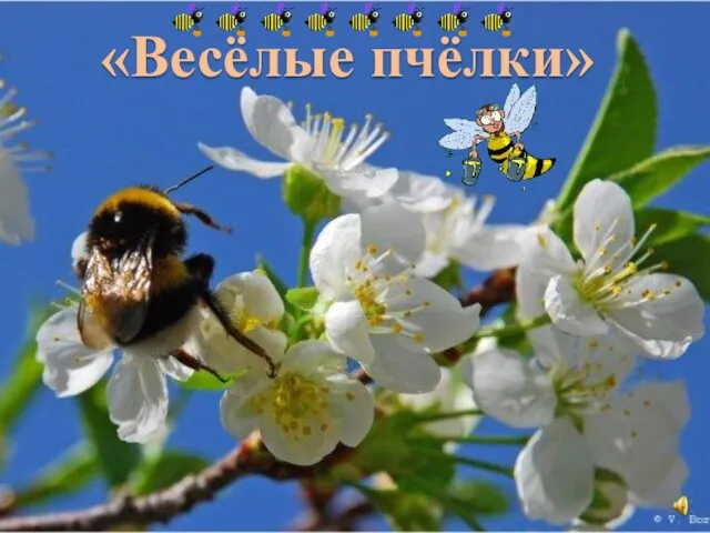 «Весёлые пчёлки»