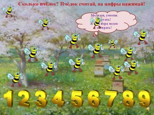 Сколько пчёлок? Пчёлок считай, на цифры нажимай! Молодец, умеешь считать! А нам пора медок собирать!