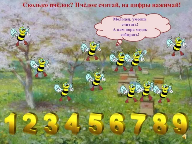 Сколько пчёлок? Пчёлок считай, на цифры нажимай! Молодец, умеешь считать! А нам пора медок собирать!