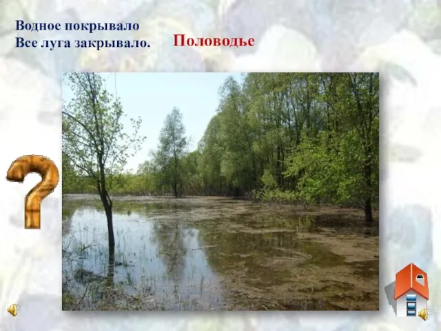 Водное покрывало Все луга закрывало. Половодье