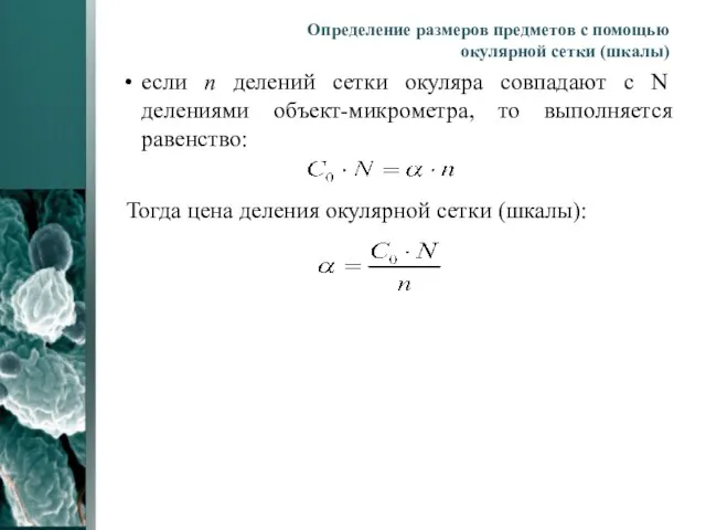 Определение размеров предметов с помощью окулярной сетки (шкалы) если n делений