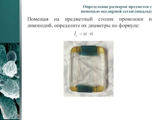 Помещая на предметный столик проволоки и ликоподий, определите их диаметры по