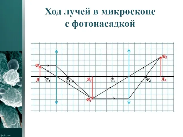 Ход лучей в микроскопе с фотонасадкой