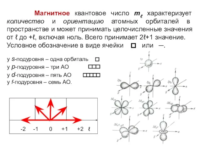 Магнитное квантовое число mℓ характеризует количество и ориентацию атомных орбиталей в