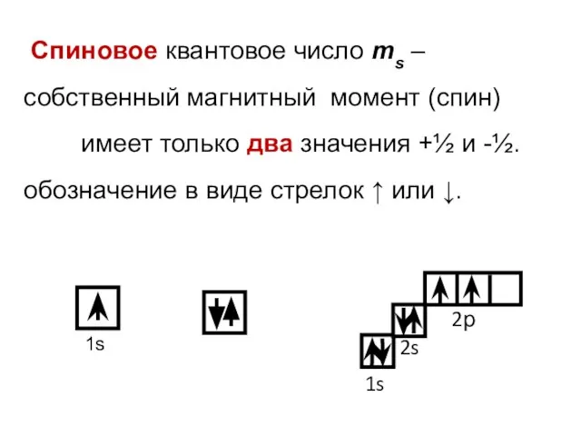 Спиновое квантовое число ms – собственный магнитный момент (спин) имеет только