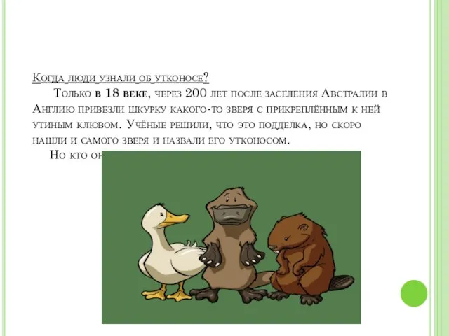 Когда люди узнали об утконосе? Только в 18 веке, через 200