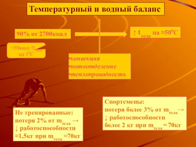 Температурный и водный баланс ↑ tтела на ≈500С ≈50ккал ↑tтела на