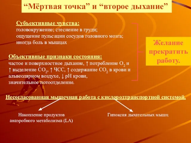 “Мёртвая точка” и “второе дыхание” Субъективные чувства: головокружение; стеснение в груди;