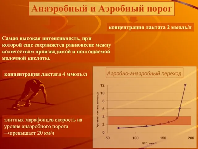 Анаэробный и Аэробный порог элитных марафонцев скорость на уровне анаэробного порога →превышает 20 км/ч