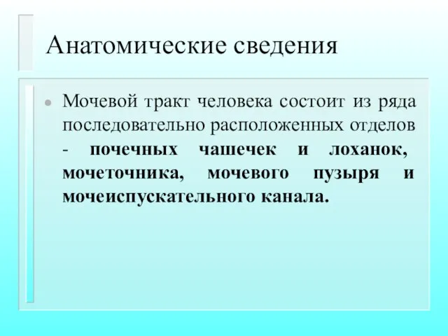 Анатомические сведения Мочевой тракт человека состоит из ряда последовательно расположенных отделов