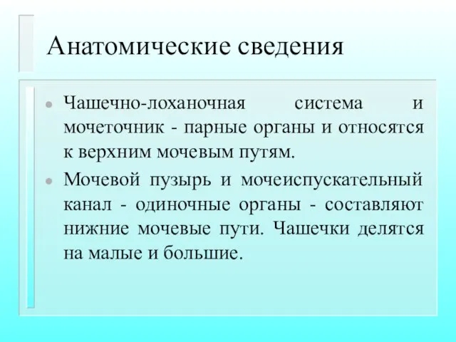 Анатомические сведения Чашечно-лоханочная система и мочеточник - парные органы и относятся