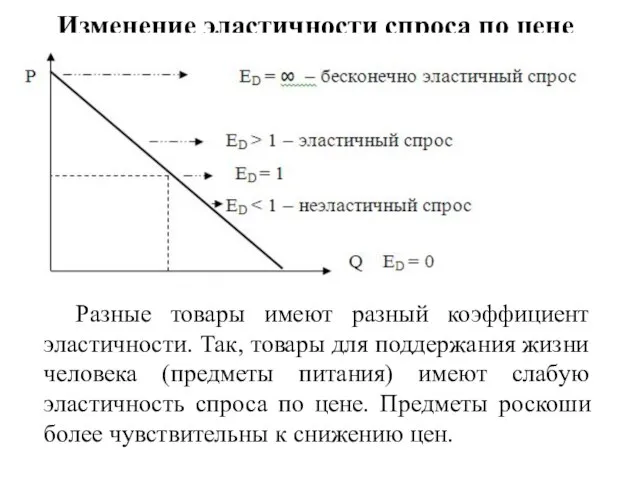 Изменение эластичности спроса по цене Разные товары имеют разный коэффициент эластичности.