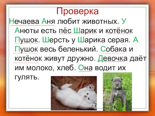 Проверка Нечаева Аня любит животных. У Анюты есть пёс Шарик и