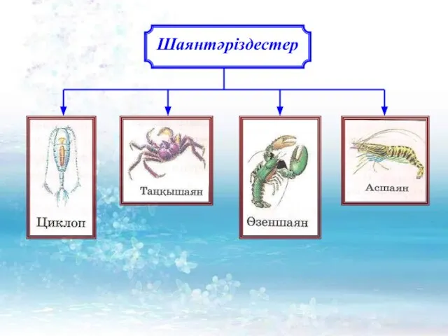 Шаянтәріздестер