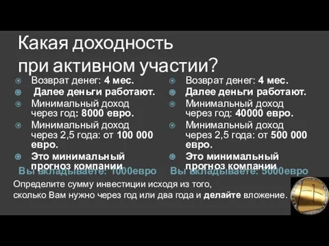 Какая доходность при активном участии? Вы вкладываете: 1000евро Вы вкладываете: 5000евро